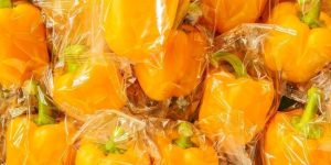 why_removing_pointless_plastic_packaging_around_vegetables__fruits_is_the_need_of_the_hour_1570961745